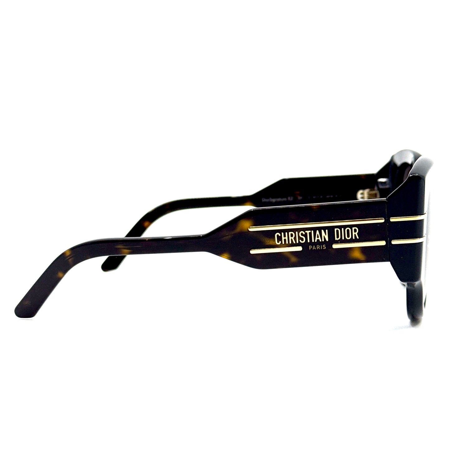 CHRISTIAN DIOR Sunglasses DiorSignature R2I 20F1