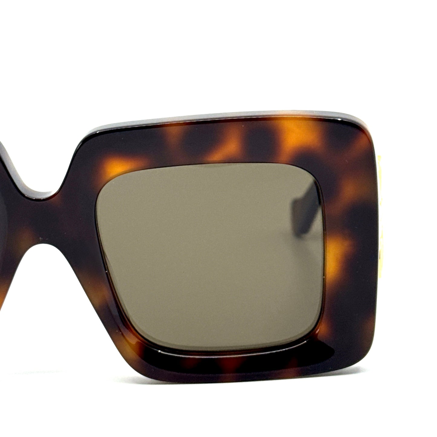 LOEWE Sunglasses LW40176U 52E