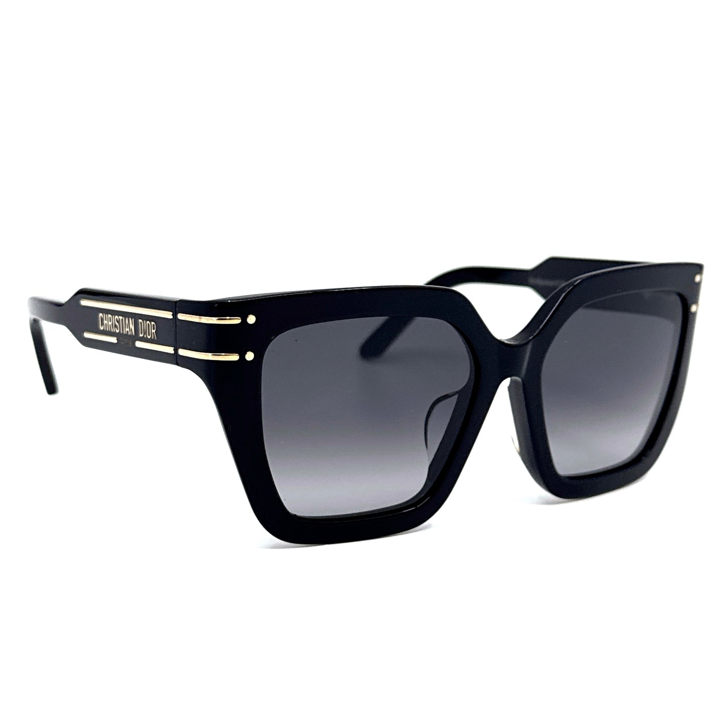 CHRISTIAN DIOR Sunglasses DiorSignature S10F 10A1