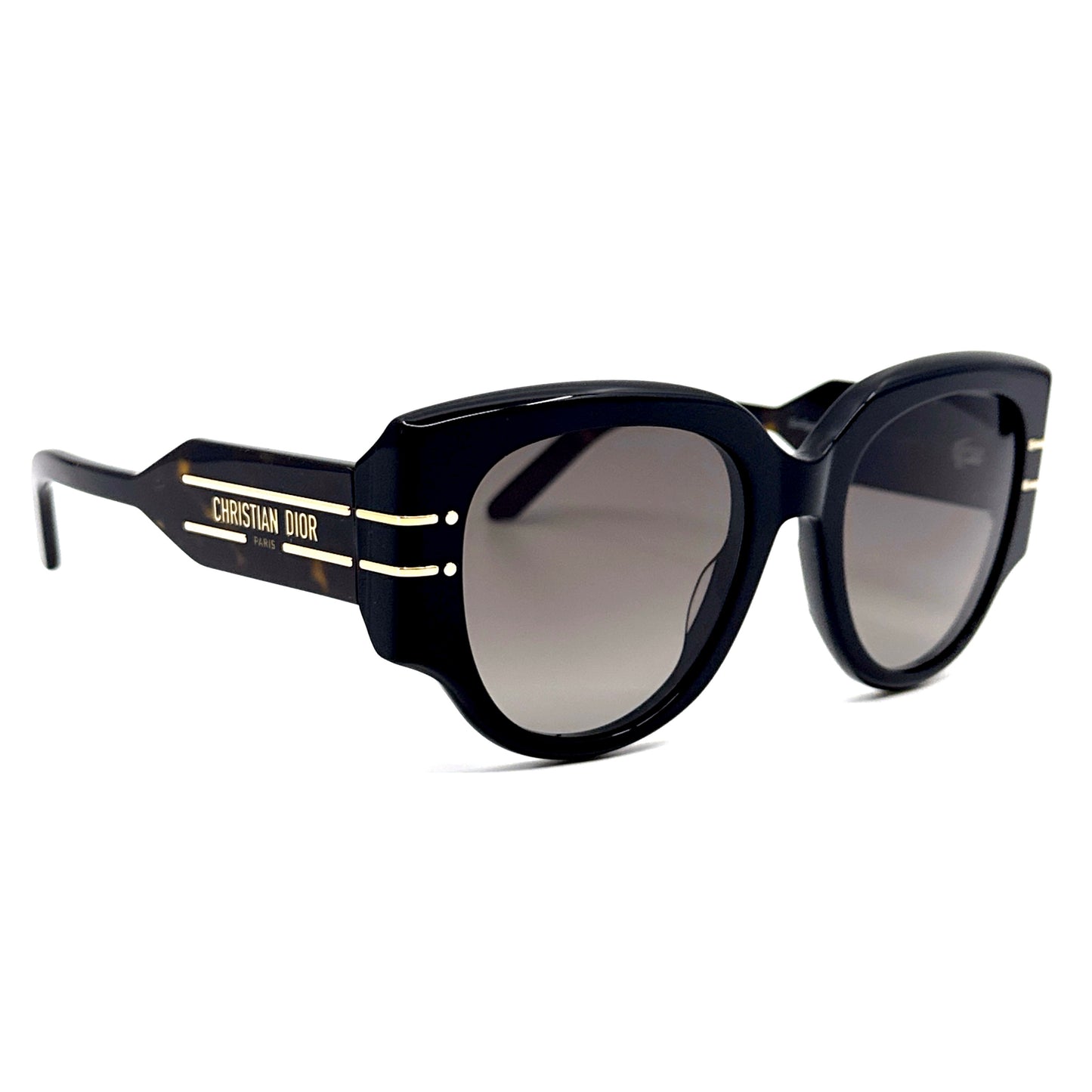 CHRISTIAN DIOR Sunglasses DiorSignature R2I 20F1