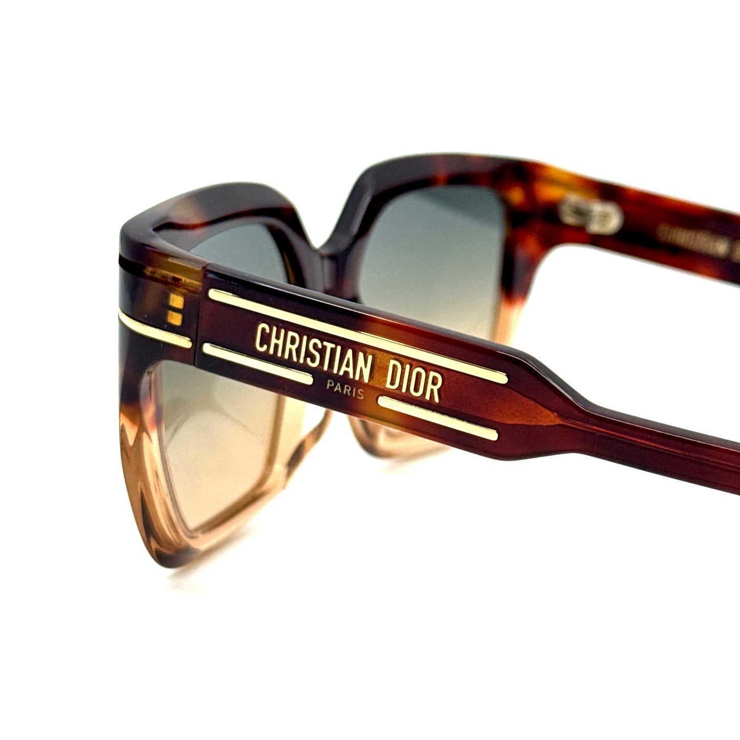 CHRISTIAN DIOR Sunglasses DiorSignature S10F 25F2