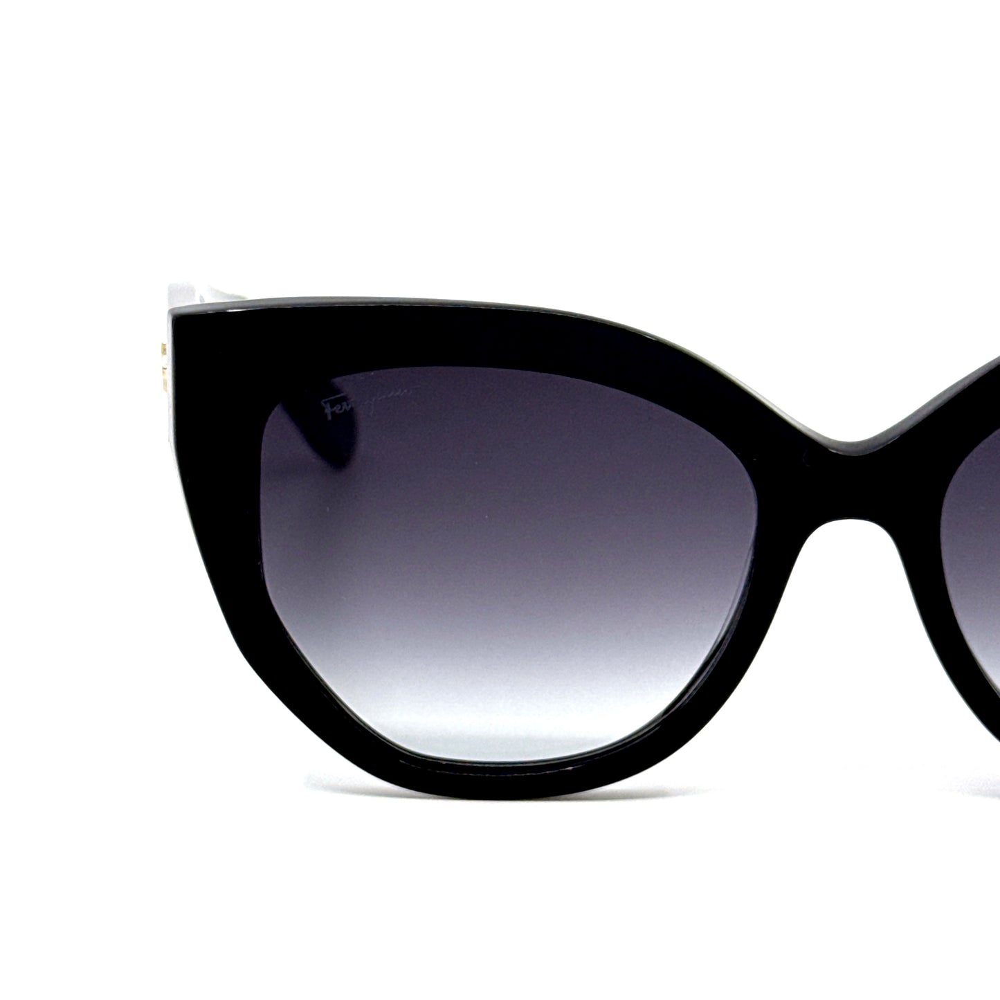 SALVATORE FERRAGAMO Sunglasses SF1061S 001