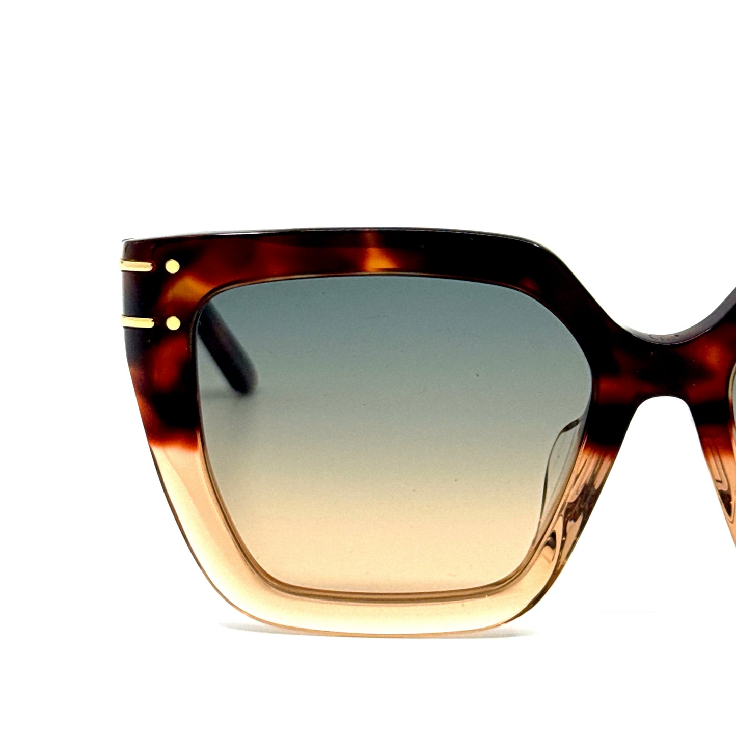 CHRISTIAN DIOR Sunglasses DiorSignature S10F 25F2