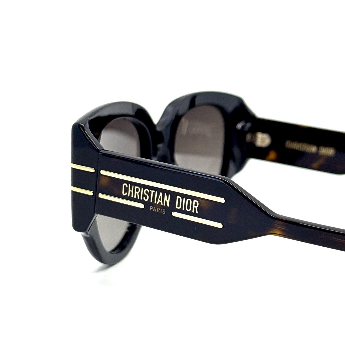 CHRISTIAN DIOR Sunglasses DiorSignature R2I 20F1