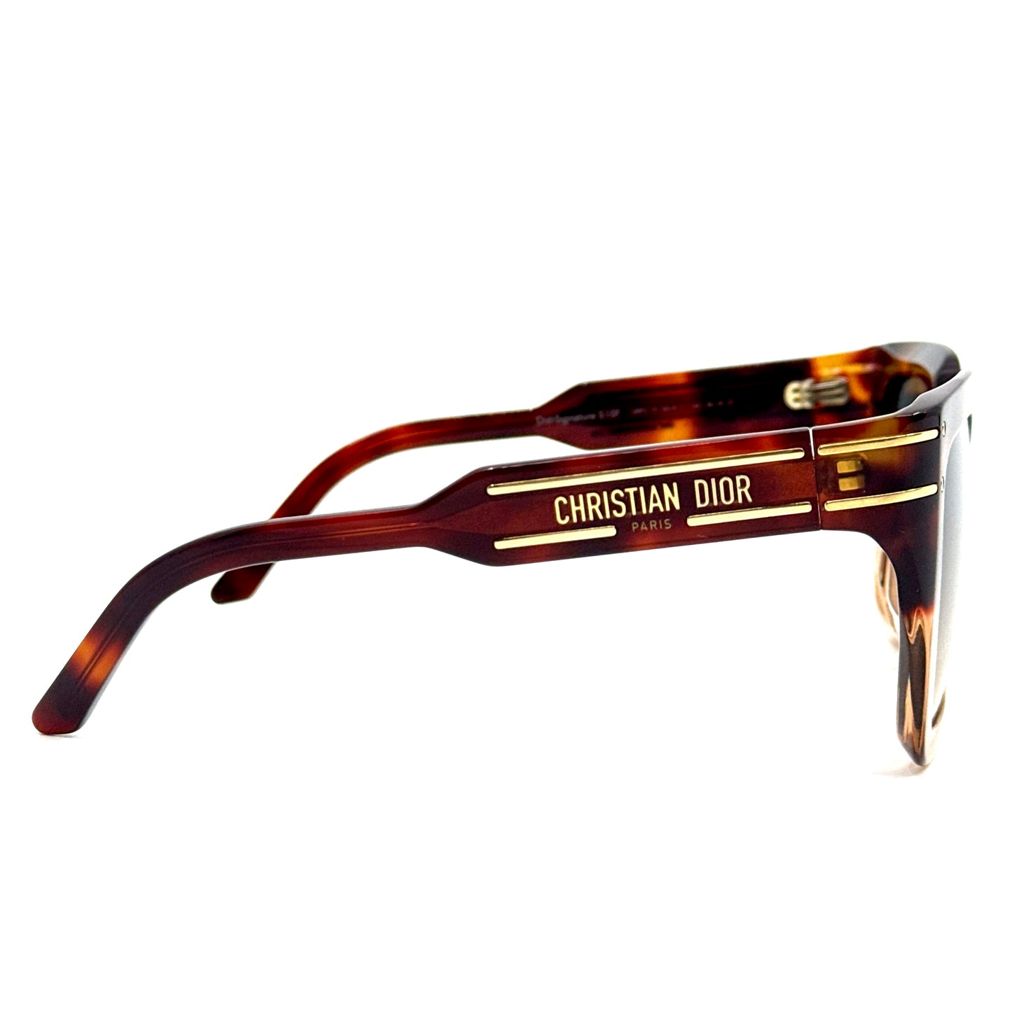 CHRISTIAN DIOR Sunglasses DiorSignature S10F 25F2