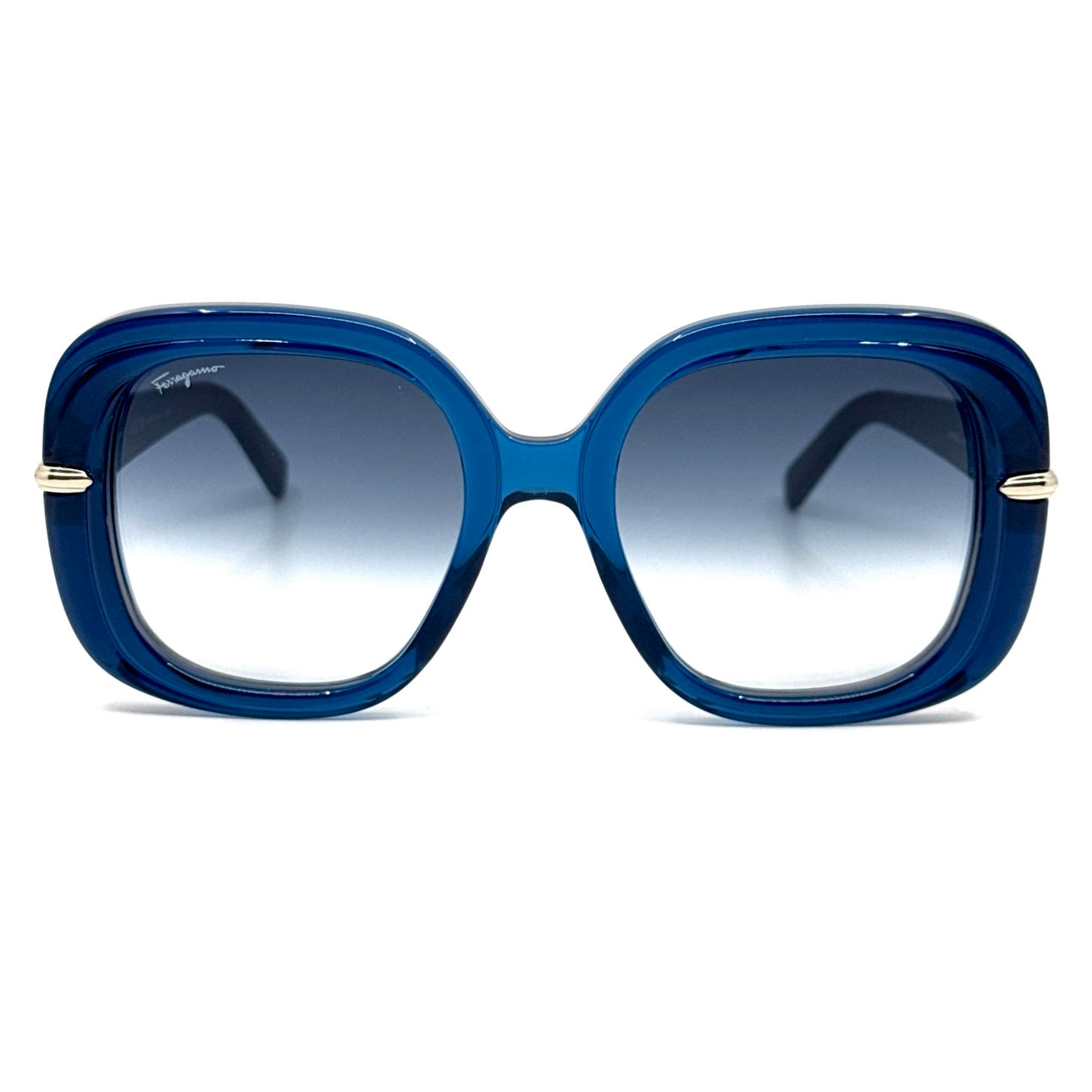 SALVATORE FERRAGAMO Sunglasses SF1058S 445