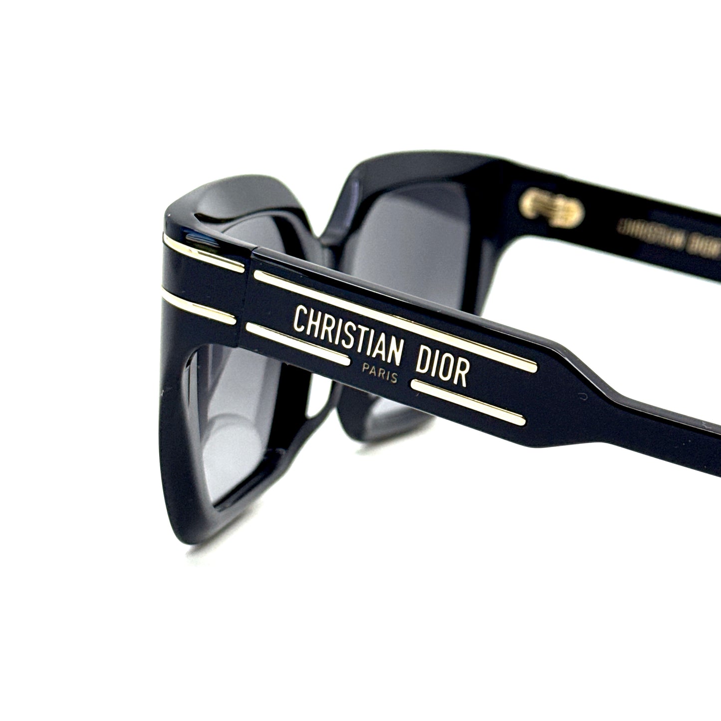 CHRISTIAN DIOR Sunglasses DiorSignature S10F 10A1