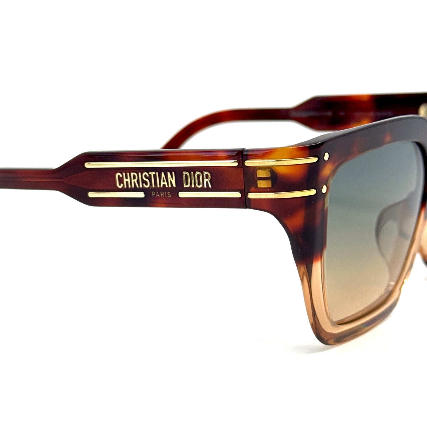 CHRISTIAN DIOR Sunglasses DiorSignature S10F 25F2