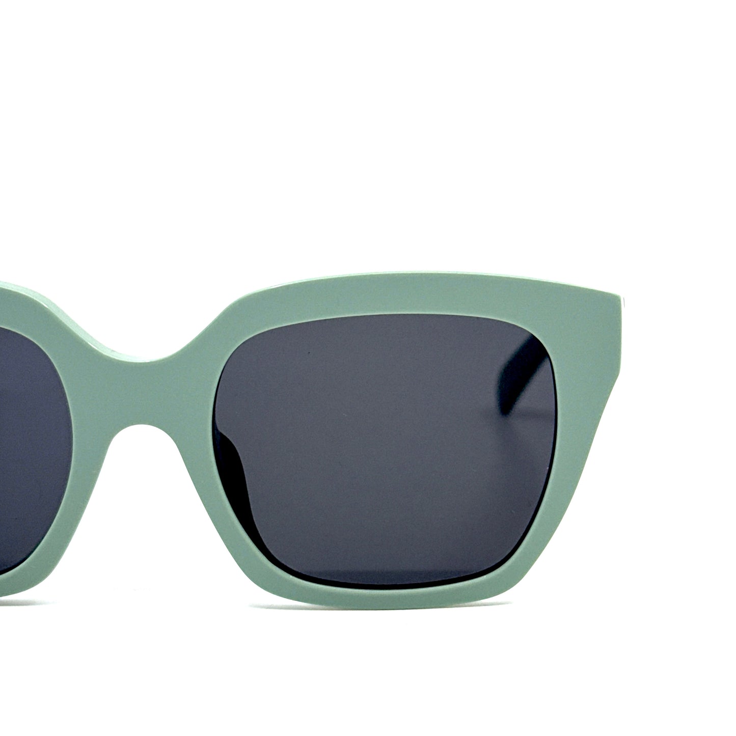CELINE Sunglasses CL40198F 95A