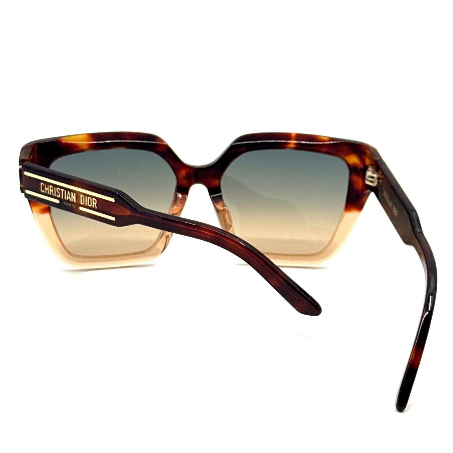 CHRISTIAN DIOR Sunglasses DiorSignature S10F 25F2