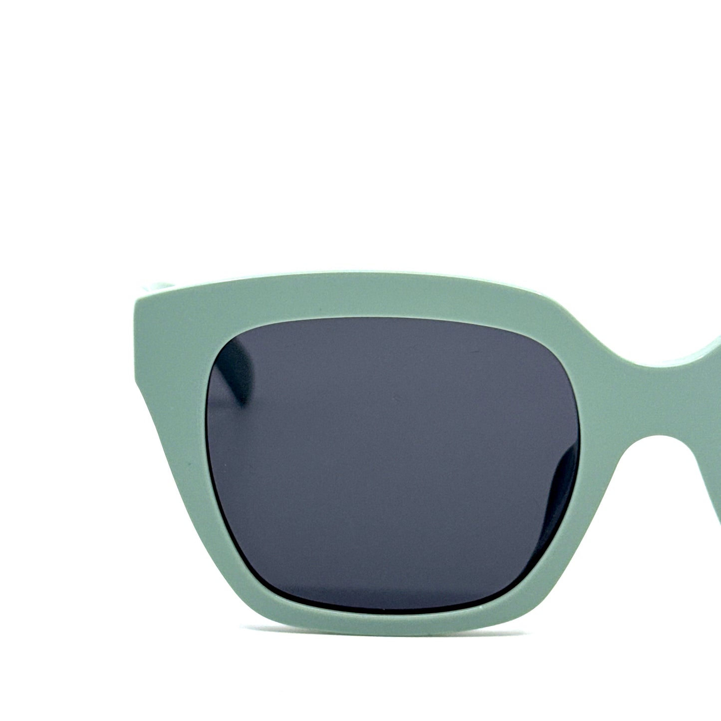 CELINE Sunglasses CL40198F 95A