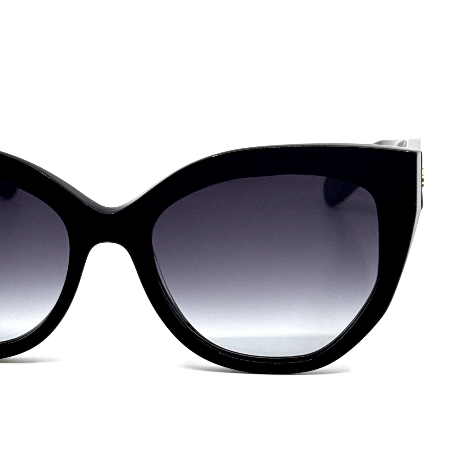 SALVATORE FERRAGAMO Sunglasses SF1061S 001