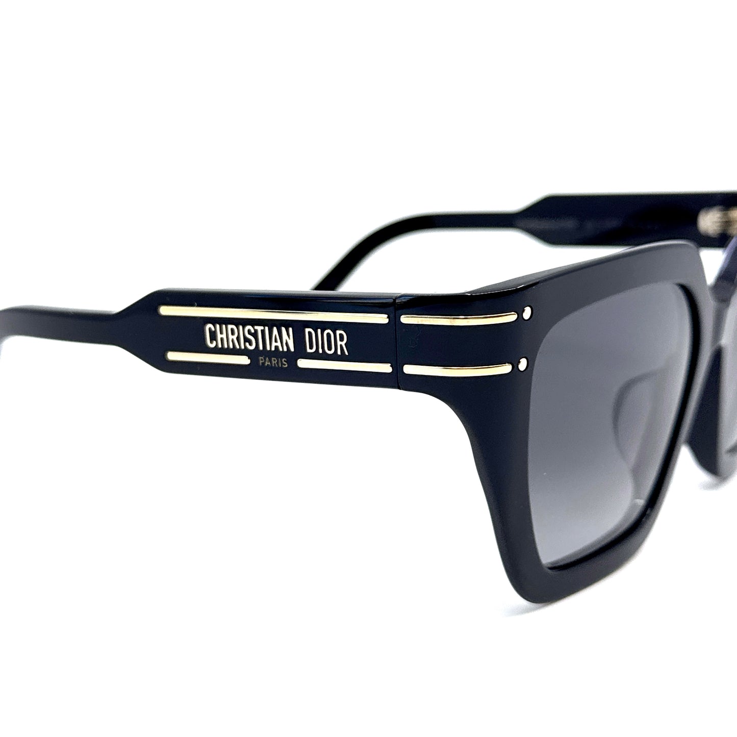 CHRISTIAN DIOR Sunglasses DiorSignature S10F 10A1