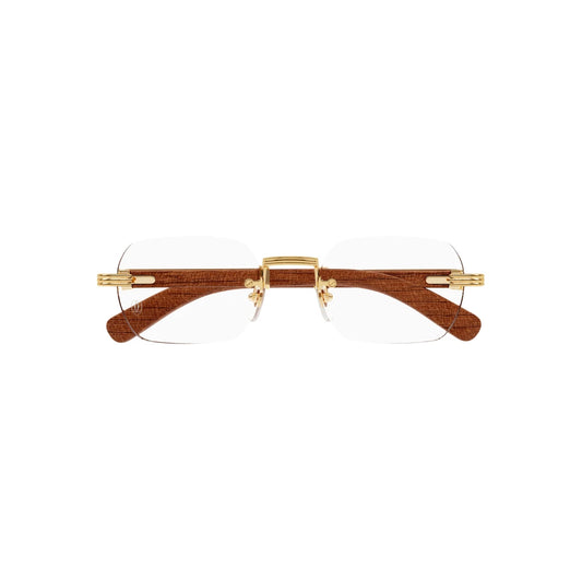Cartier CT0377o-002 53mm