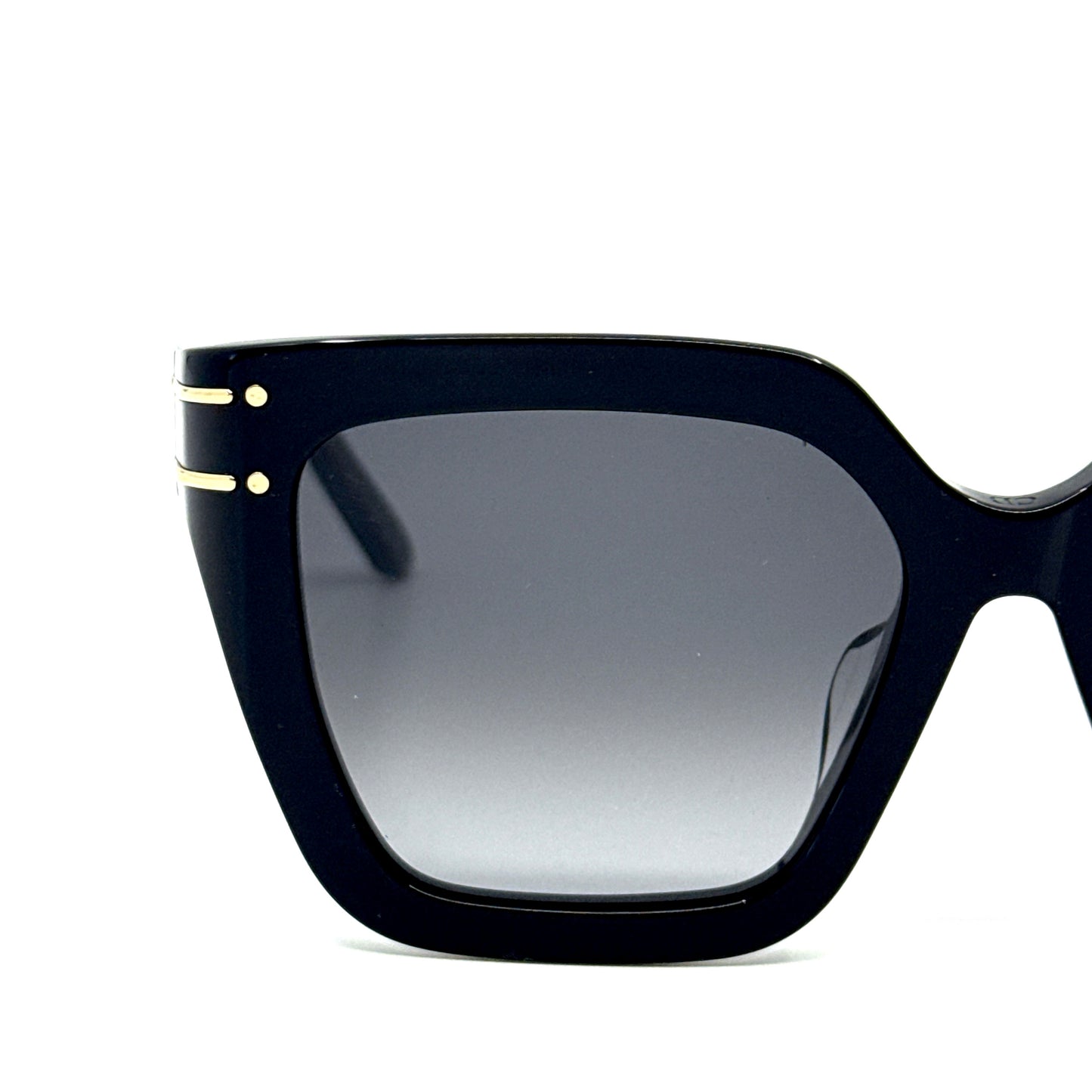 CHRISTIAN DIOR Sunglasses DiorSignature S10F 10A1