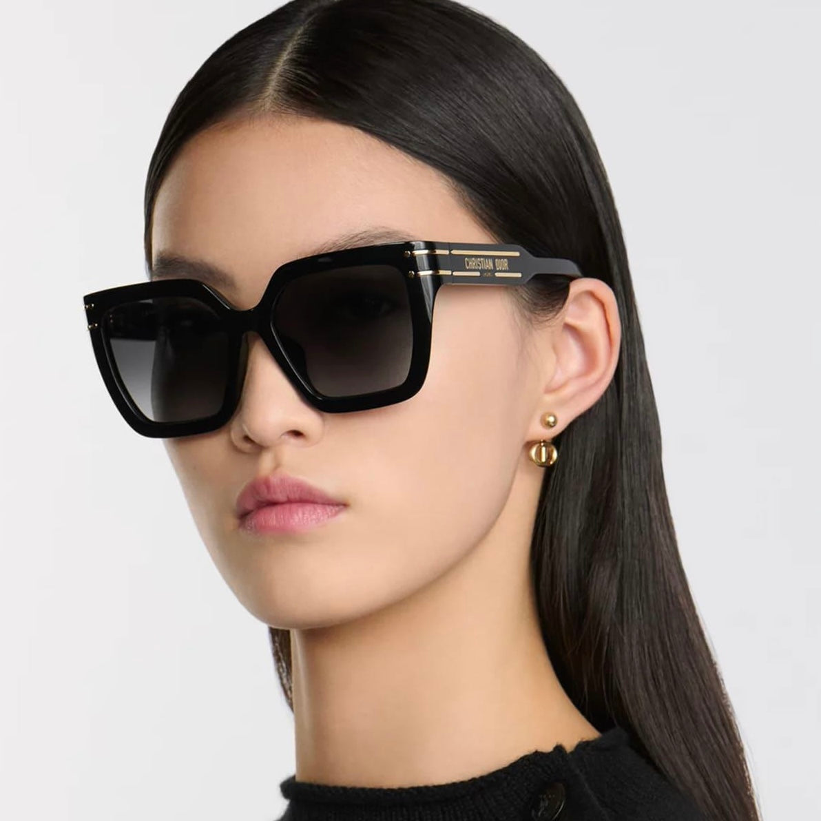 CHRISTIAN DIOR Sunglasses DiorSignature S10F 10A1