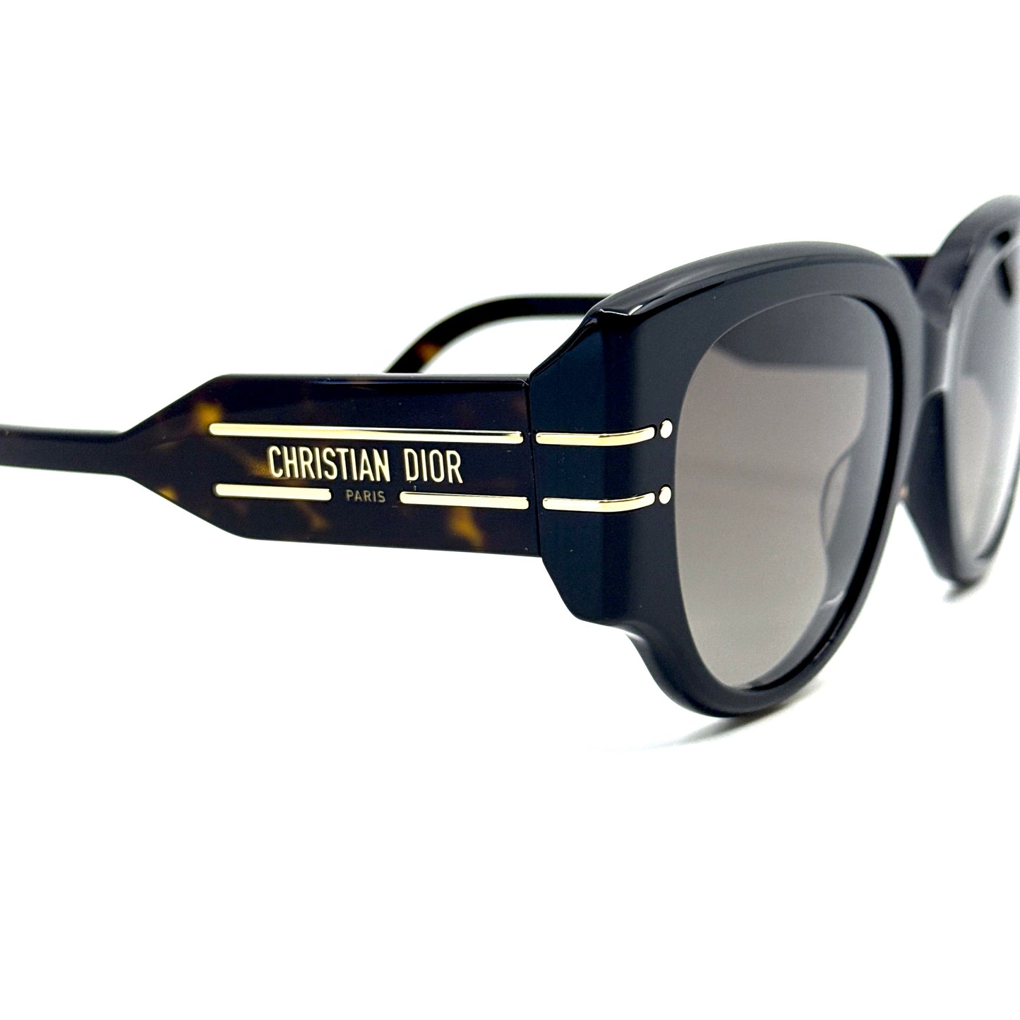 CHRISTIAN DIOR Sunglasses DiorSignature R2I 20F1