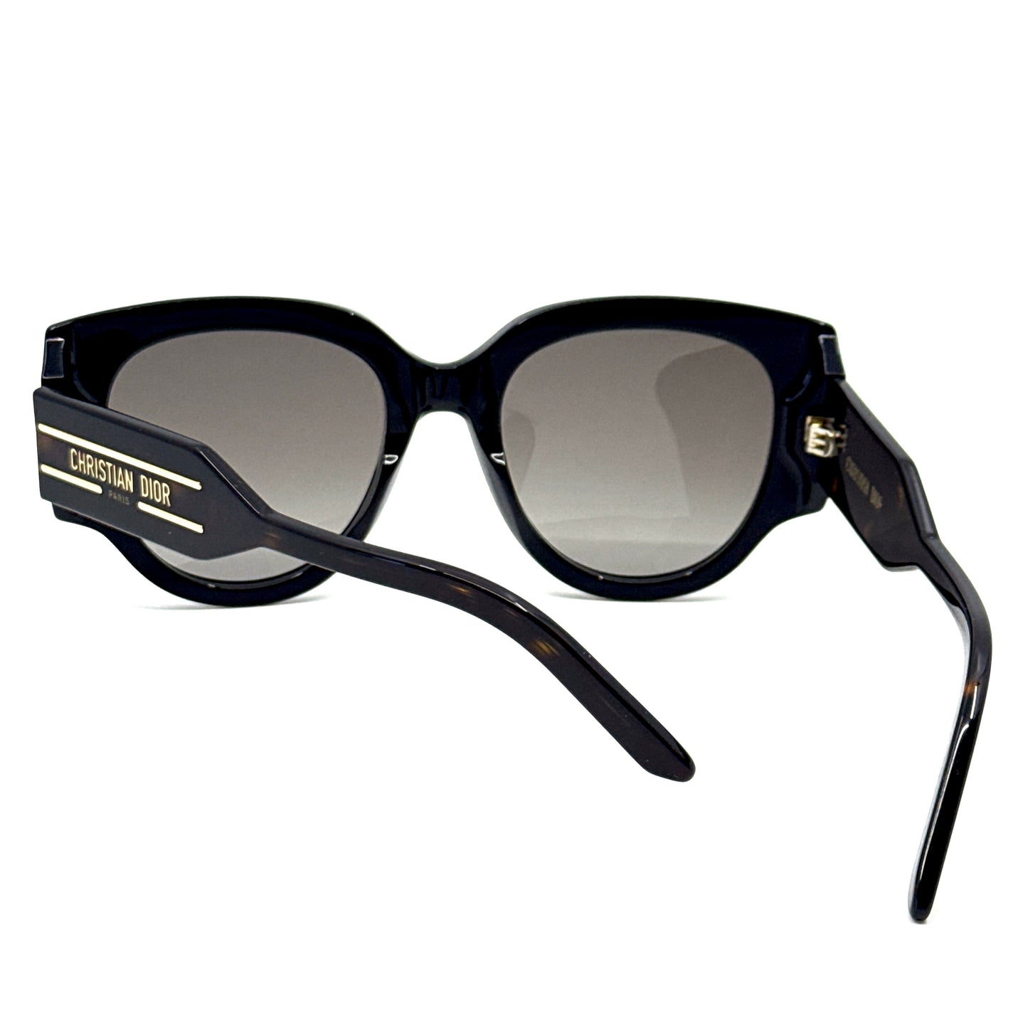 CHRISTIAN DIOR Sunglasses DiorSignature R2I 20F1