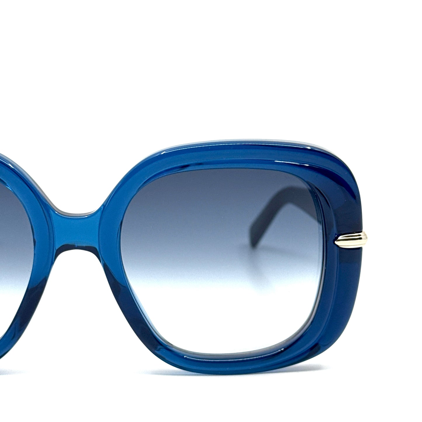 SALVATORE FERRAGAMO Sunglasses SF1058S 445