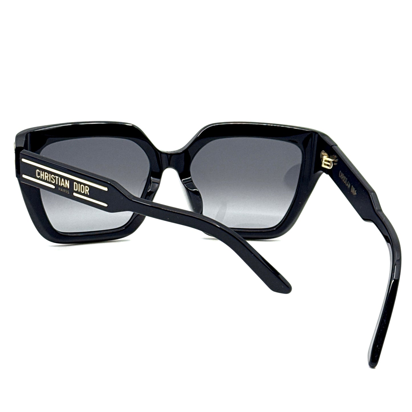 CHRISTIAN DIOR Sunglasses DiorSignature S10F 10A1