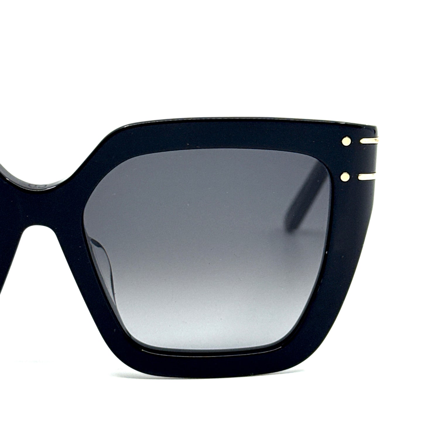 CHRISTIAN DIOR Sunglasses DiorSignature S10F 10A1