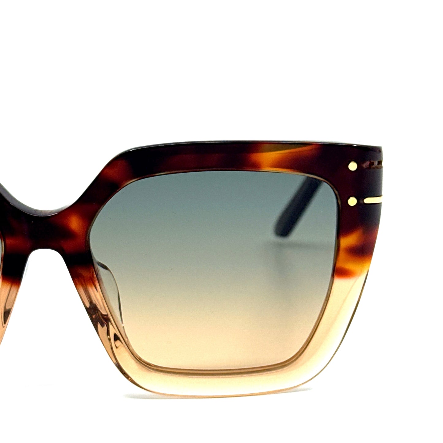 CHRISTIAN DIOR Sunglasses DiorSignature S10F 25F2