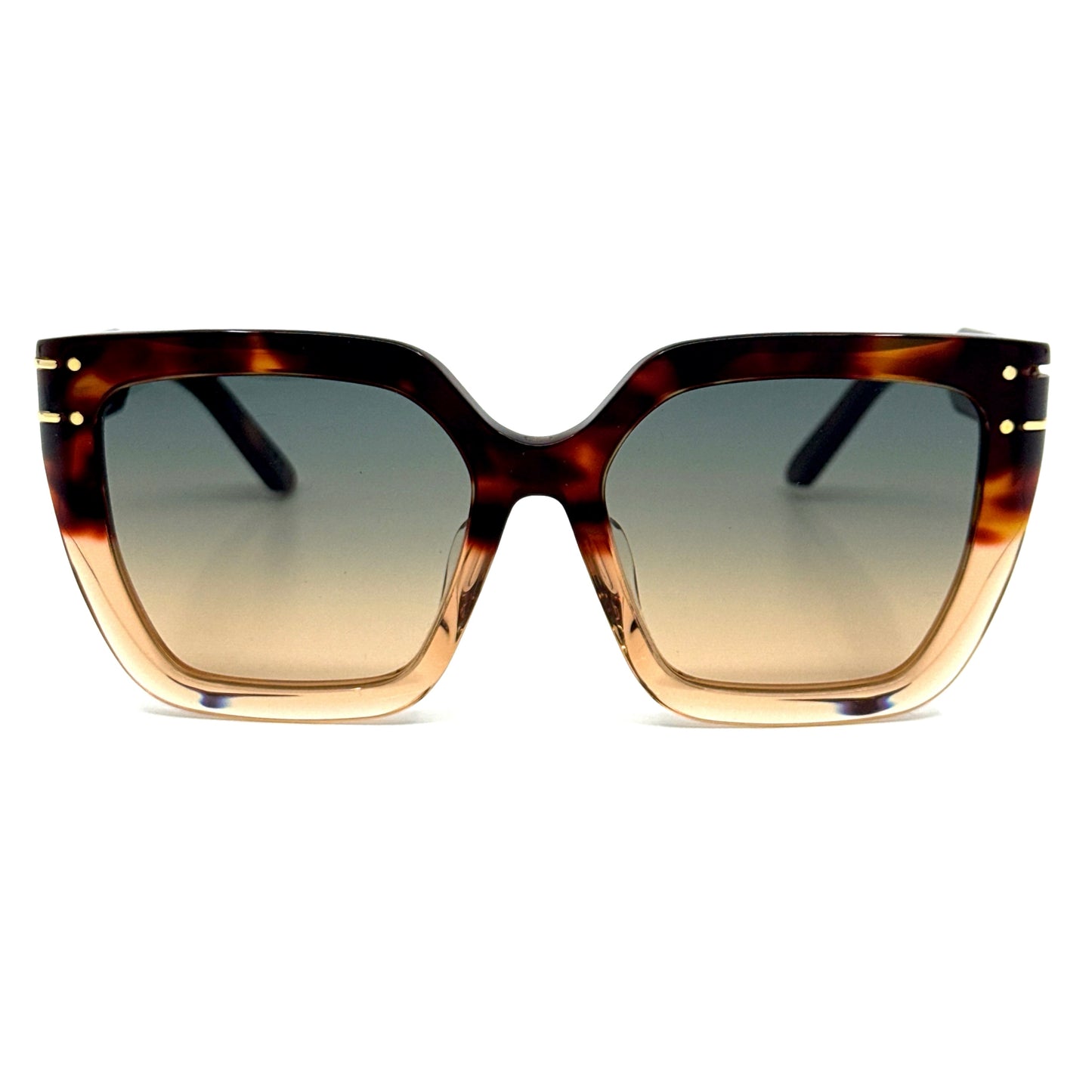 CHRISTIAN DIOR Sunglasses DiorSignature S10F 25F2