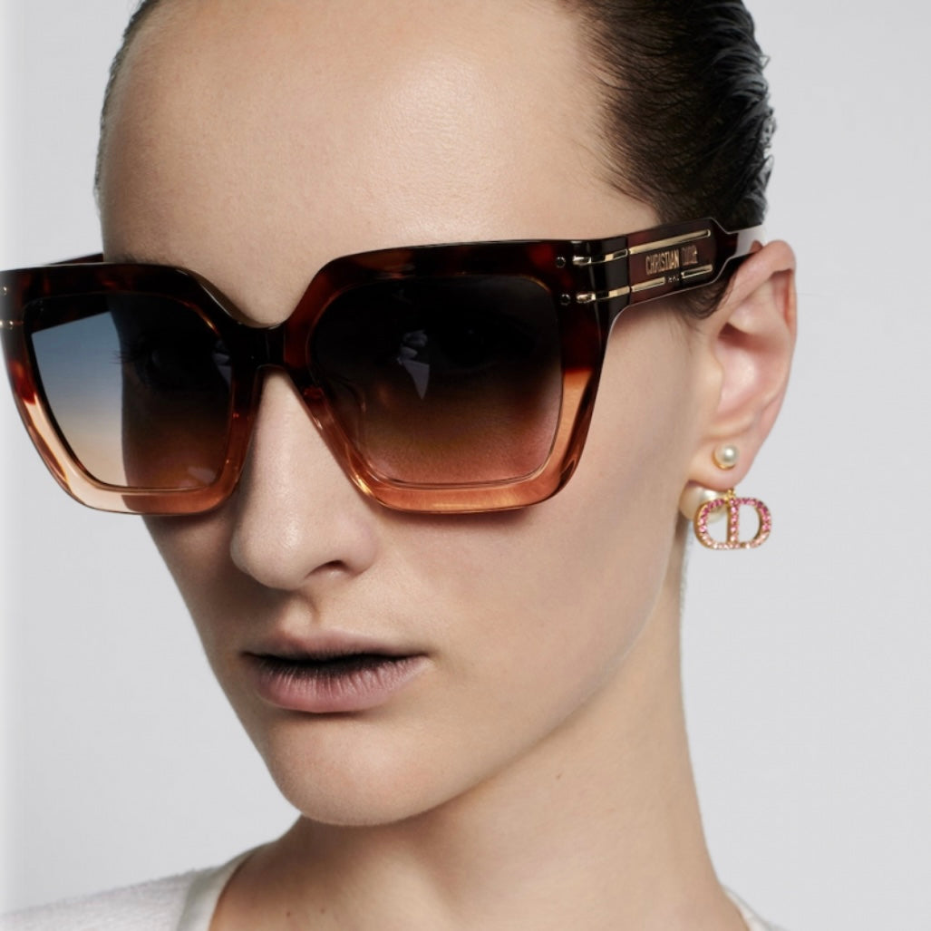 CHRISTIAN DIOR Sunglasses DiorSignature S10F 25F2