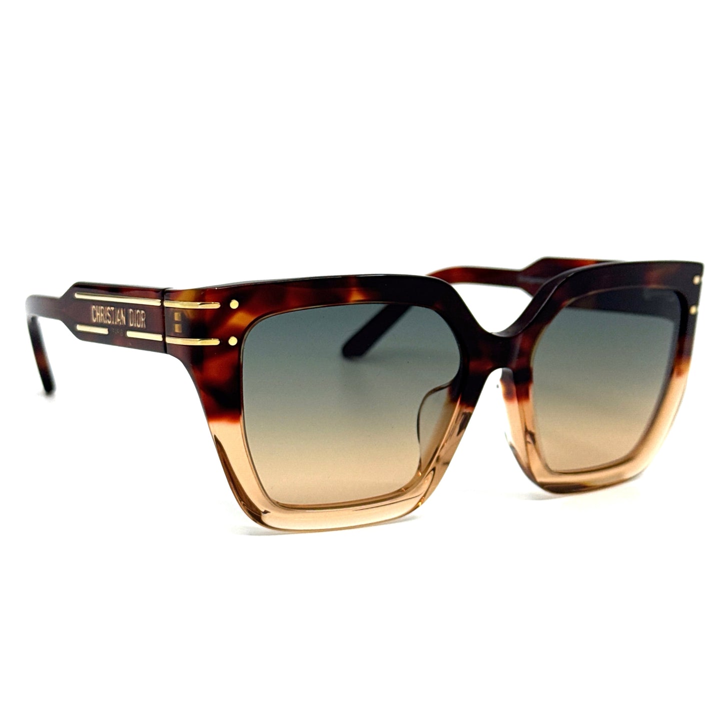 CHRISTIAN DIOR Sunglasses DiorSignature S10F 25F2