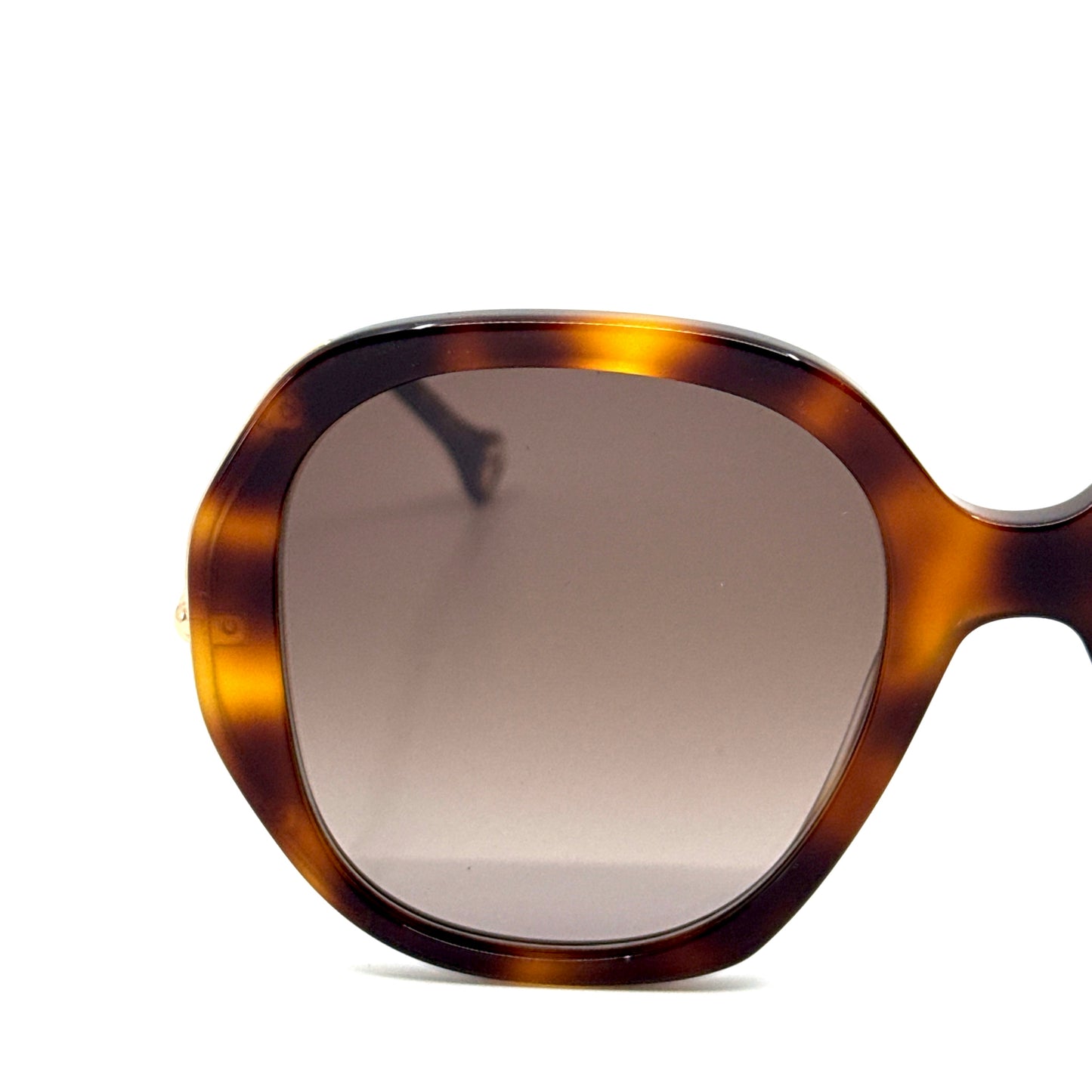 CAROLINA HERRERA Sunglasses CH0019/S 05LHA