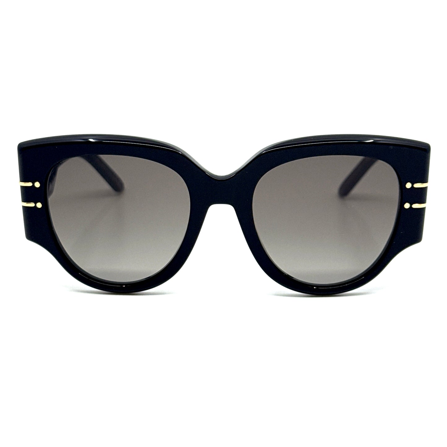 CHRISTIAN DIOR Sunglasses DiorSignature R2I 20F1