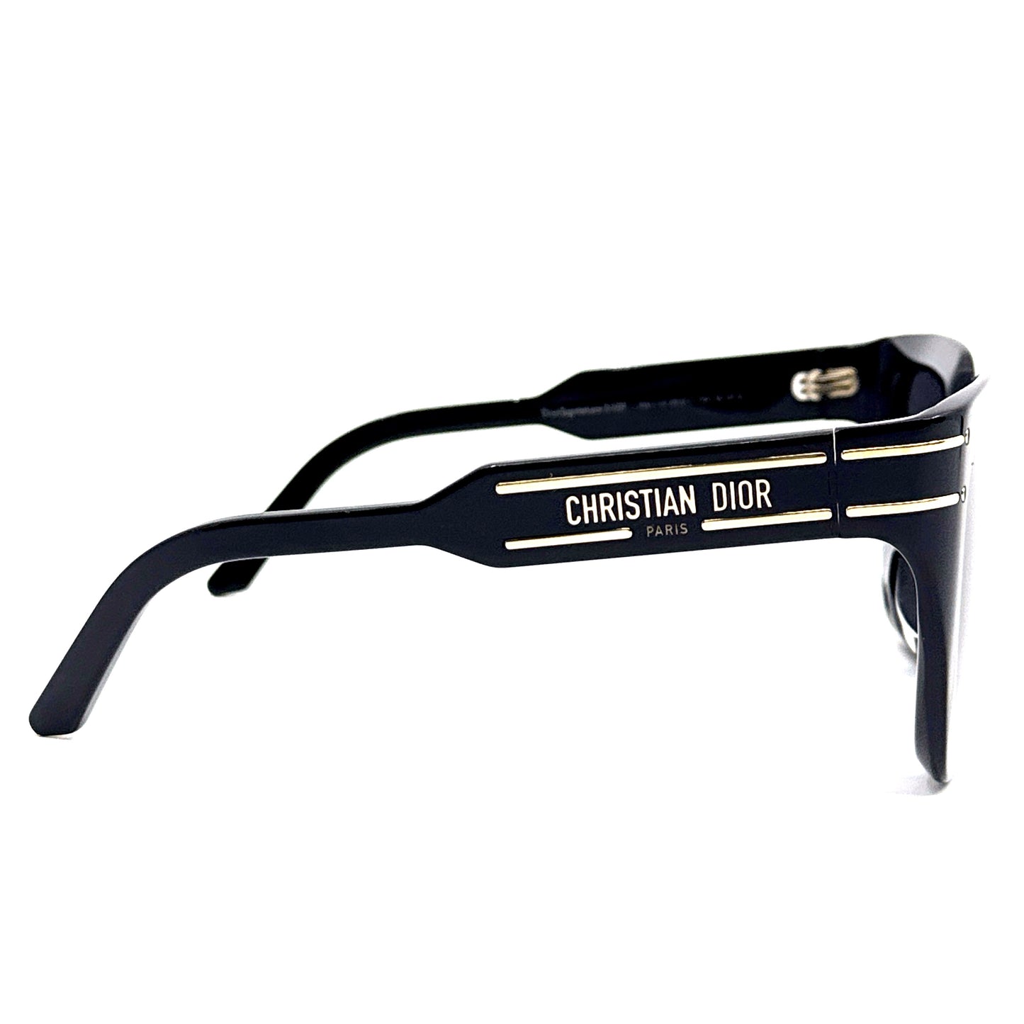 CHRISTIAN DIOR Sunglasses DiorSignature S10F 10A1