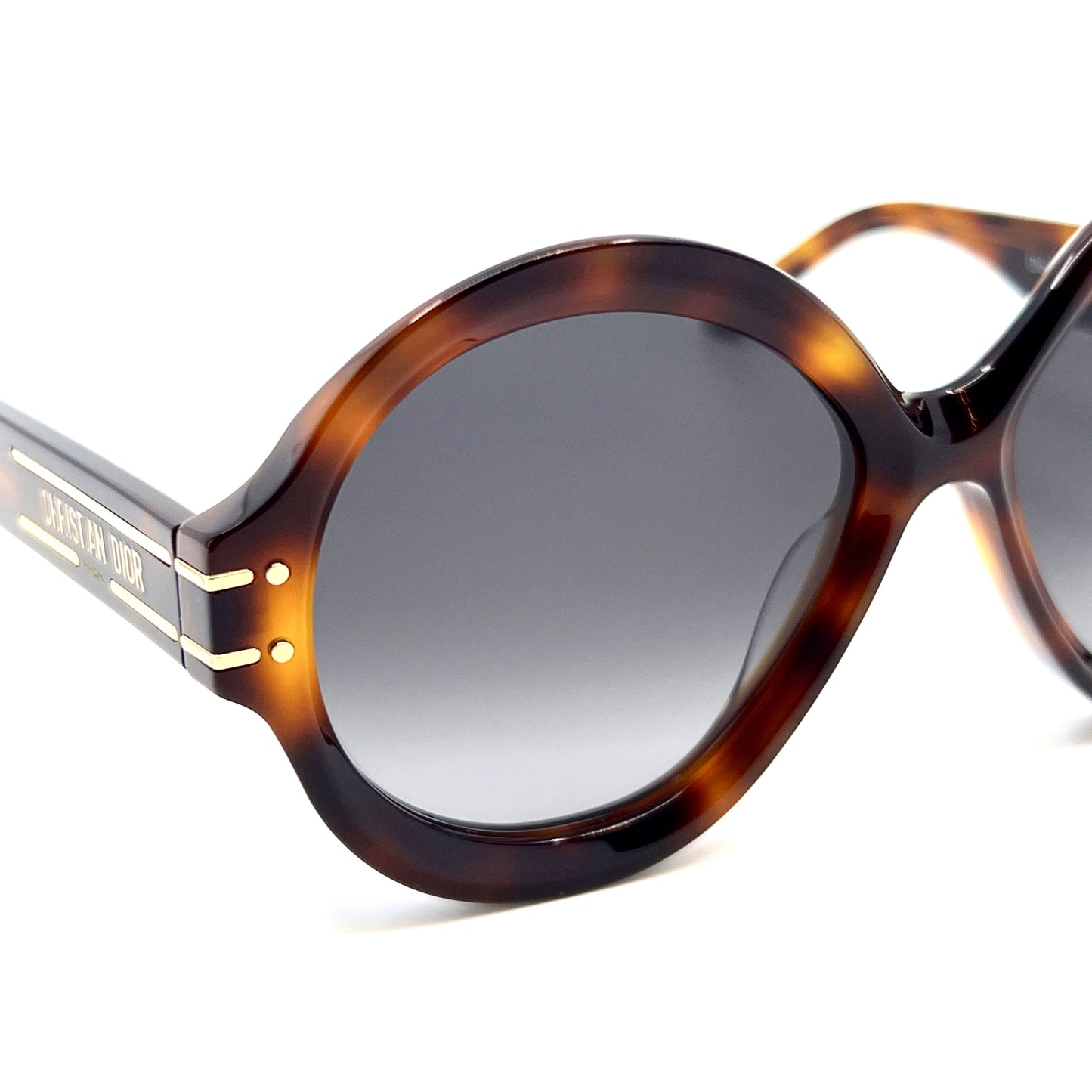 CHRISTIAN DIOR Sunglasses DiorSignature R1U 26A1