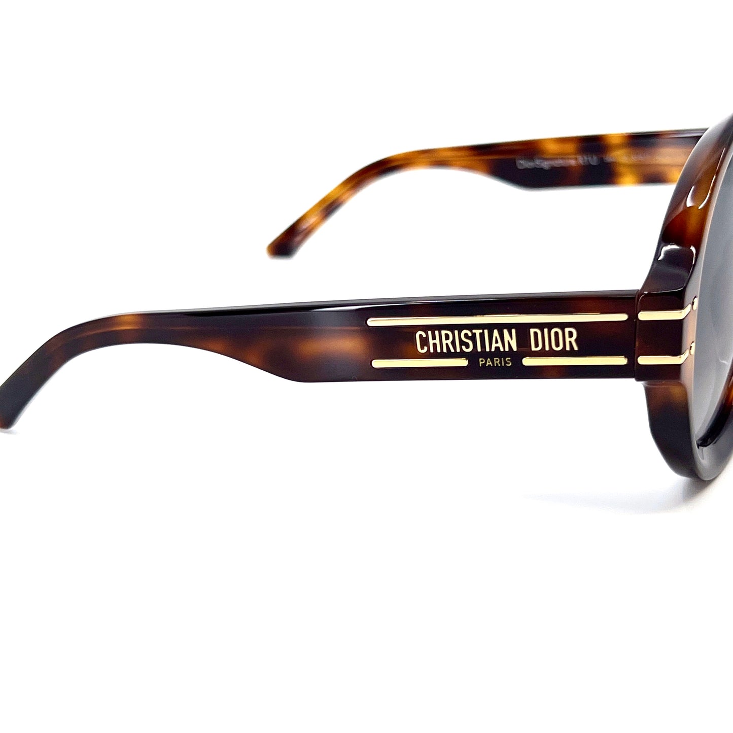 CHRISTIAN DIOR Sunglasses DiorSignature R1U 26A1