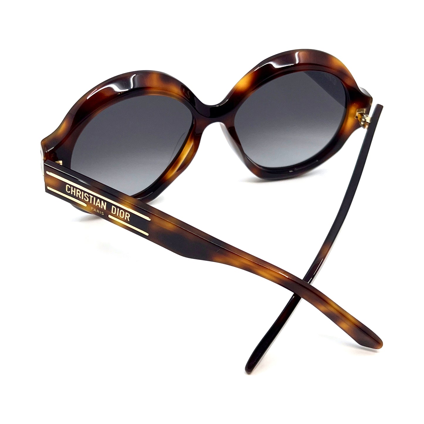 CHRISTIAN DIOR Sunglasses DiorSignature R1U 26A1
