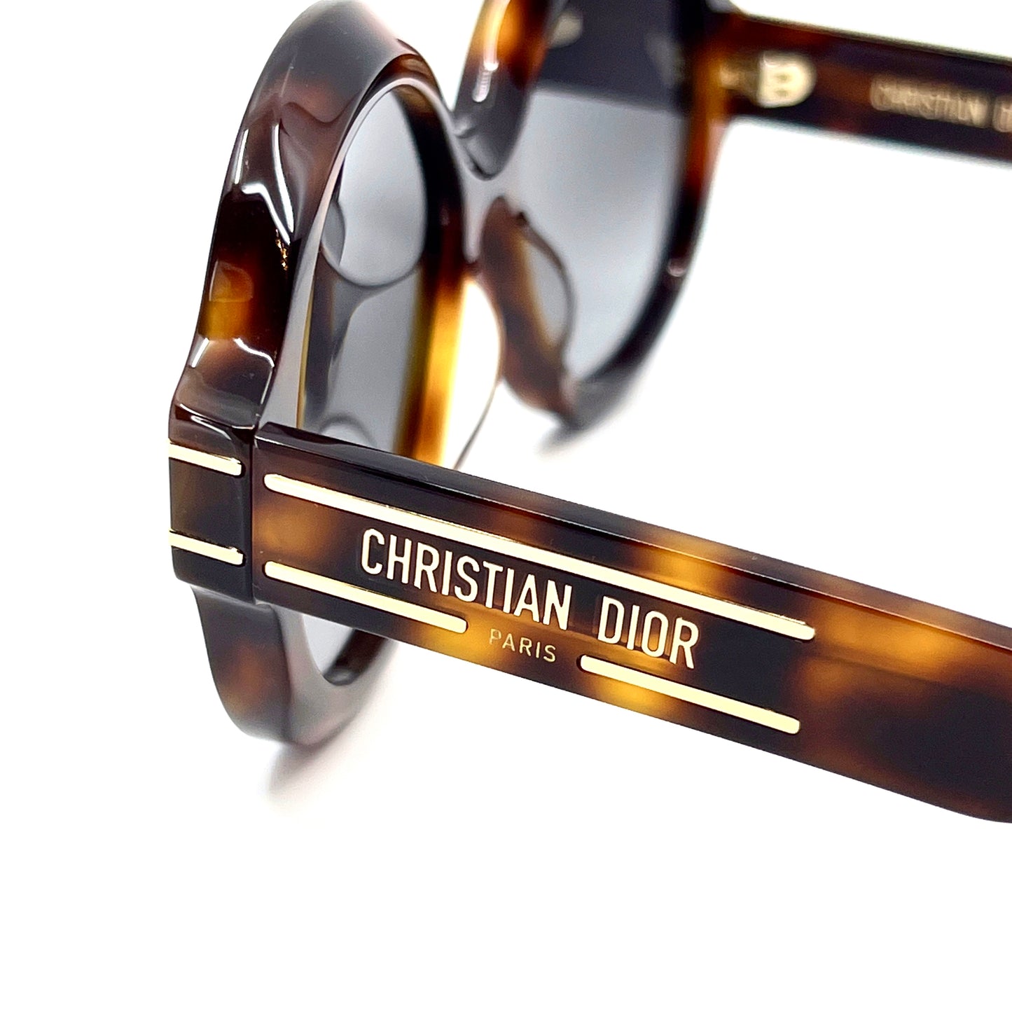 CHRISTIAN DIOR Sunglasses DiorSignature R1U 26A1