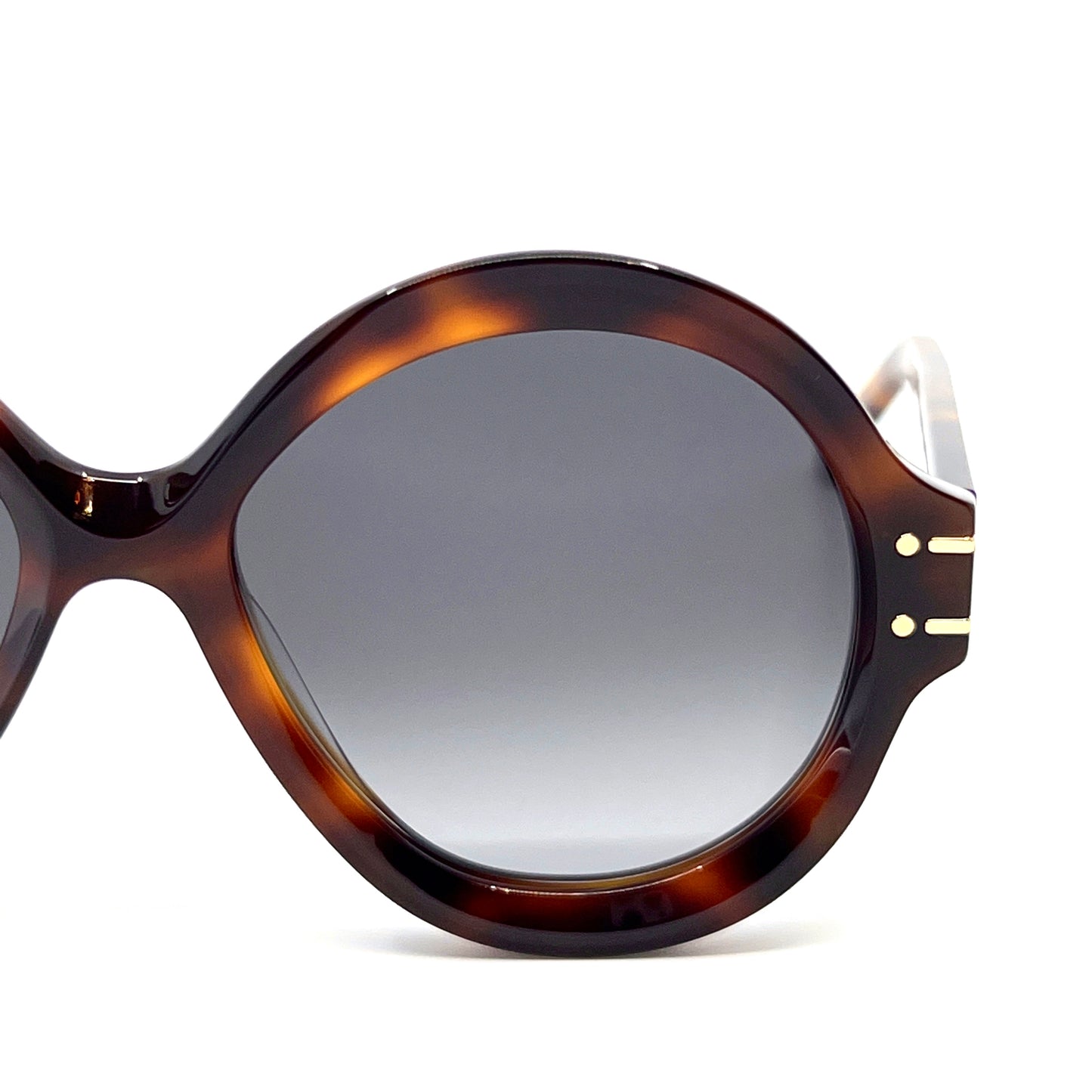 CHRISTIAN DIOR Sunglasses DiorSignature R1U 26A1