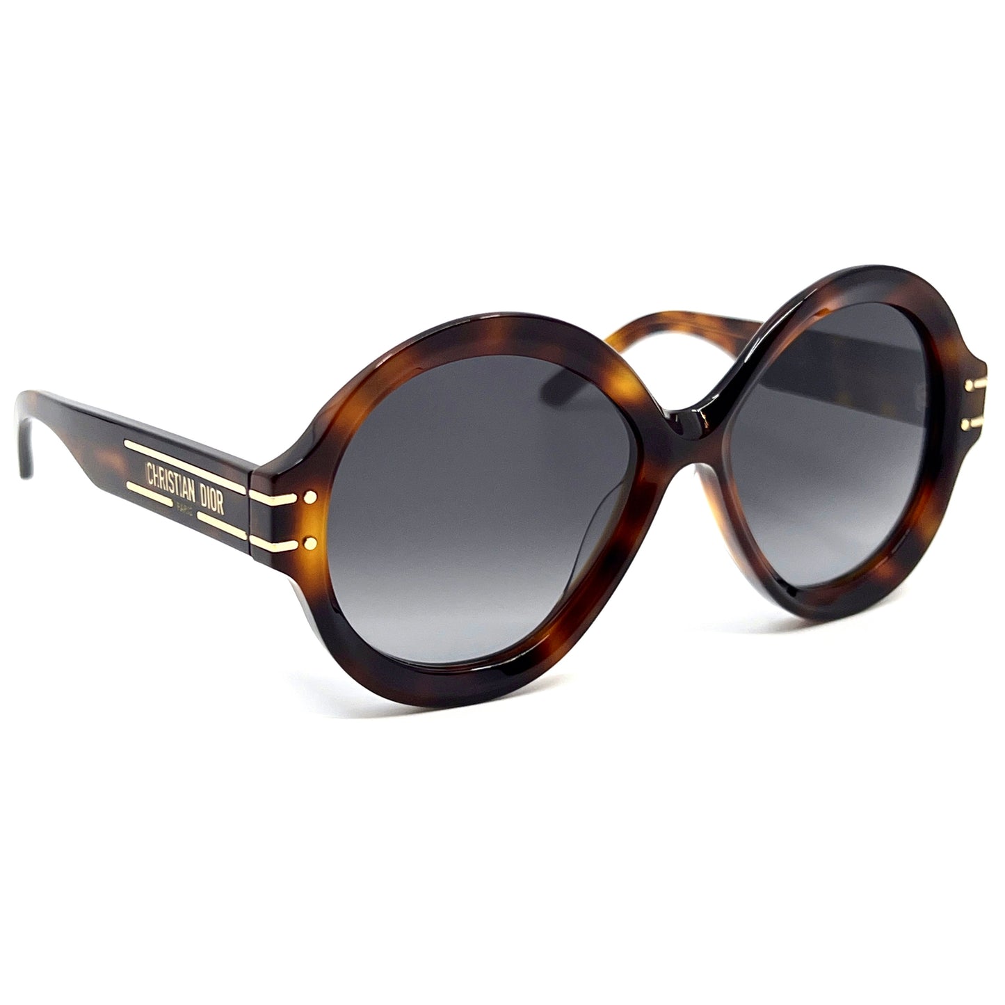 CHRISTIAN DIOR Sunglasses DiorSignature R1U 26A1