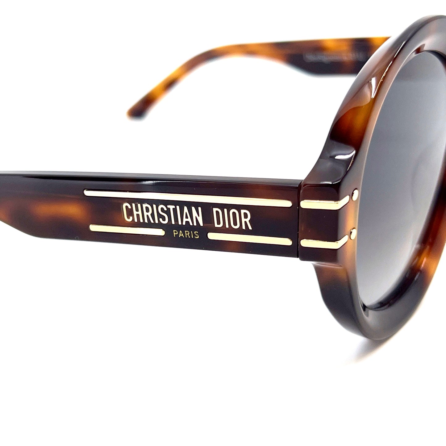 CHRISTIAN DIOR Sunglasses DiorSignature R1U 26A1