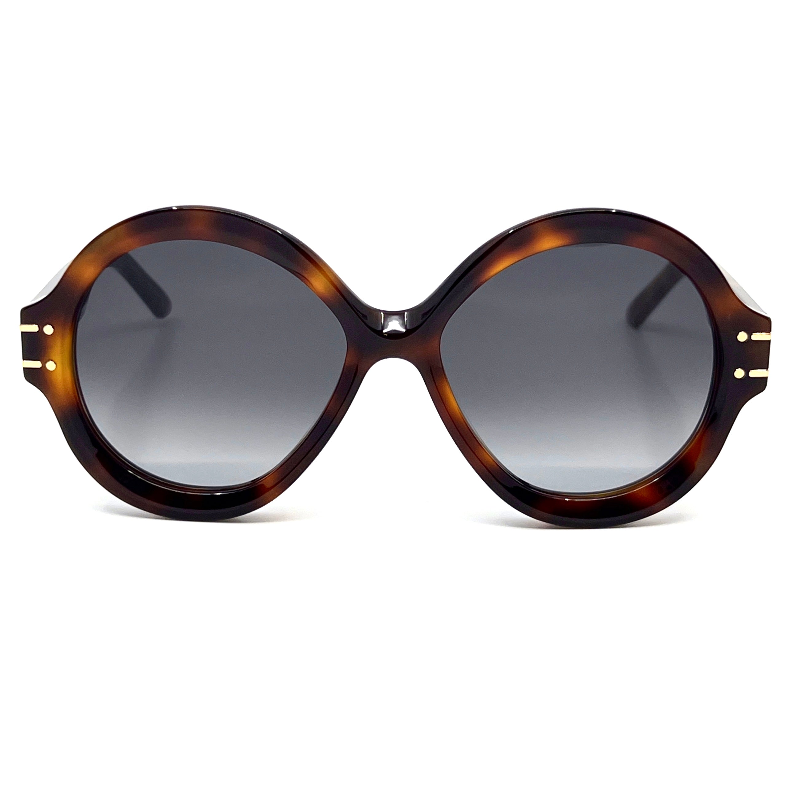 CHRISTIAN DIOR Sunglasses DiorSignature R1U 26A1