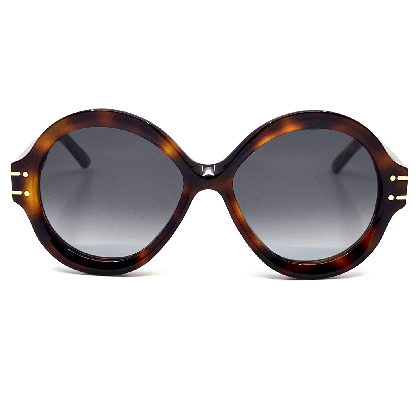 CHRISTIAN DIOR Sunglasses DiorSignature R1U 26A1