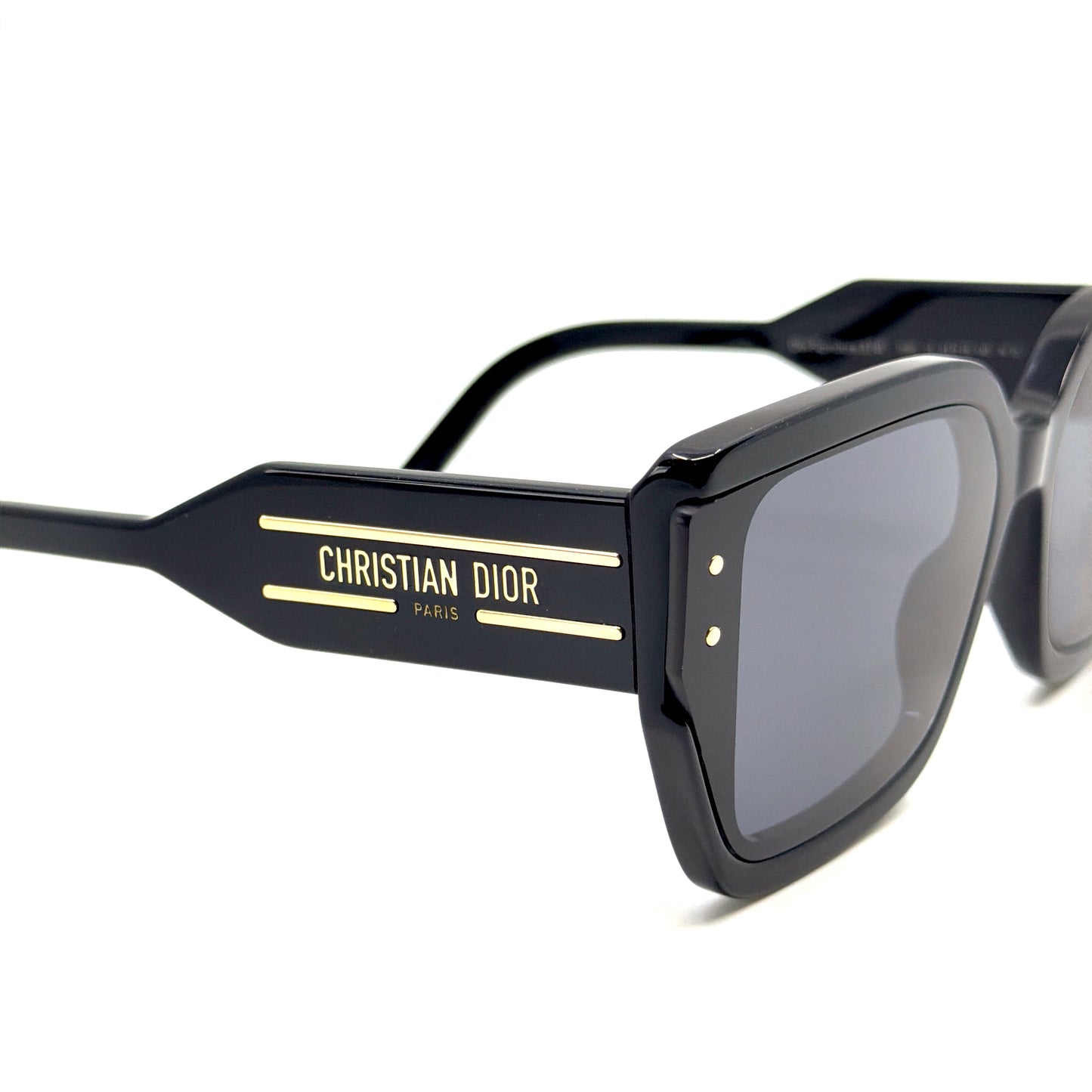 CHRISTIAN DIOR Sunglasses DiorSignature S14I 10A0