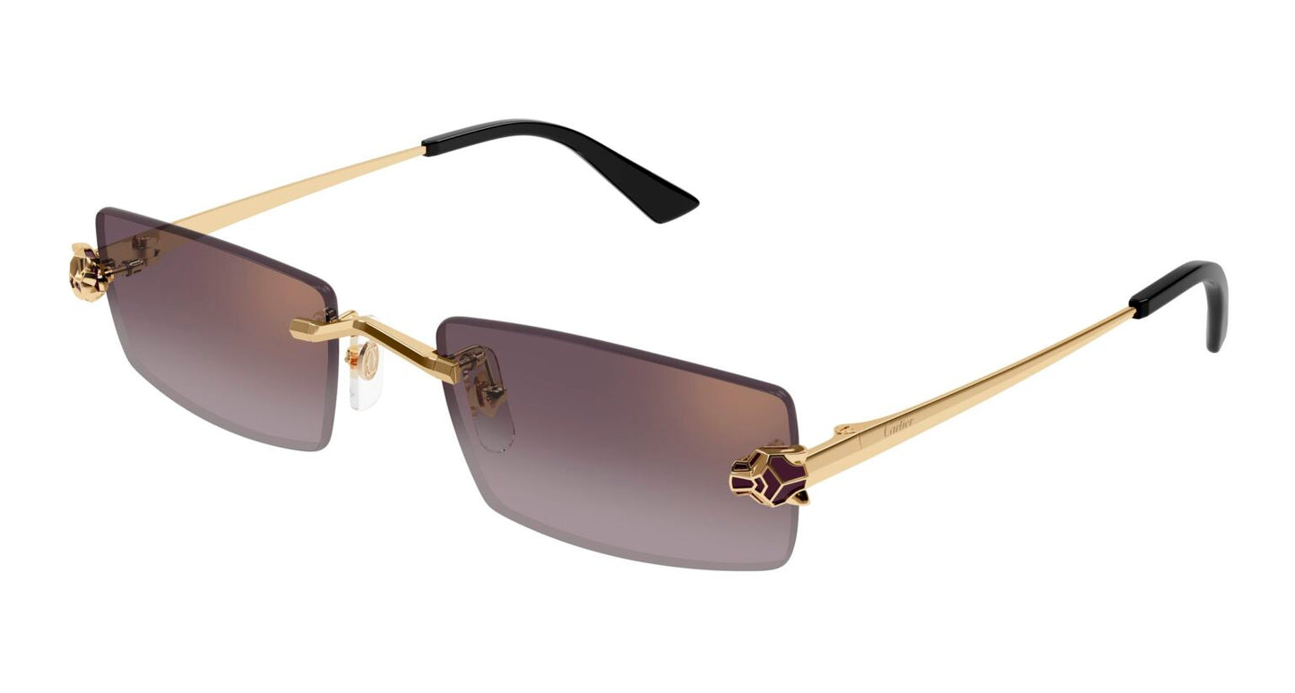 Cartier CT0598S-005 55mm