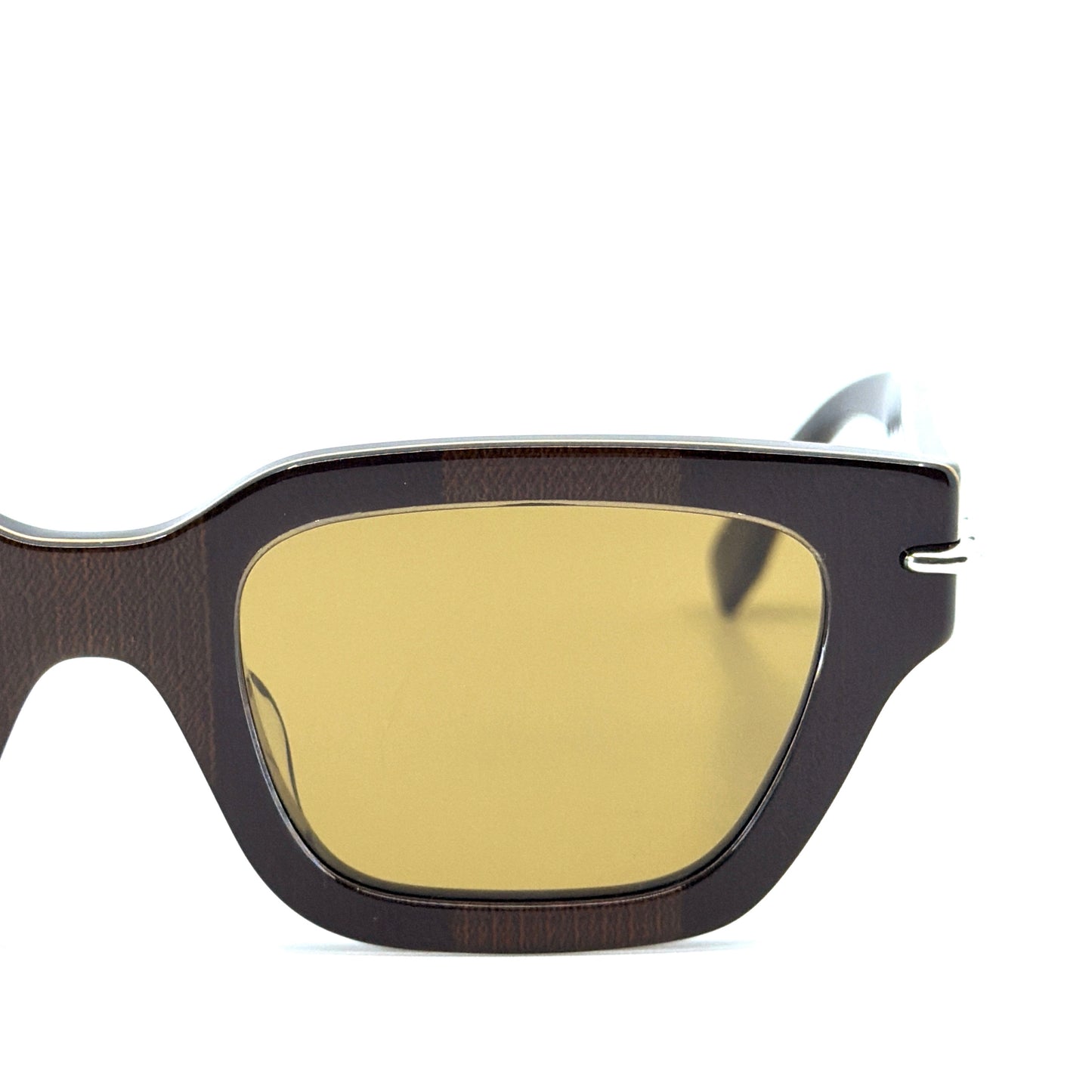FENDI Sunglasses FE40191F 50E