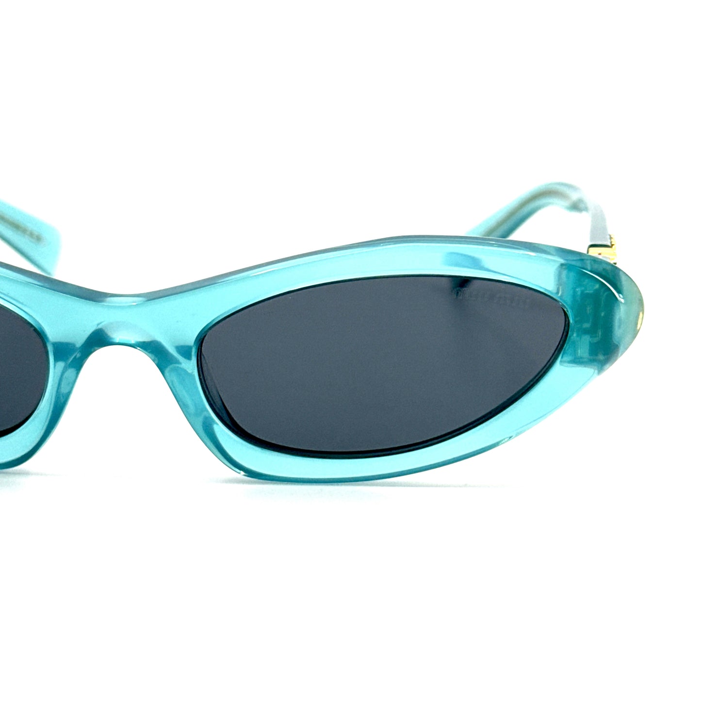 MIU MIU Sunglasses SMU09Y 19L-09T