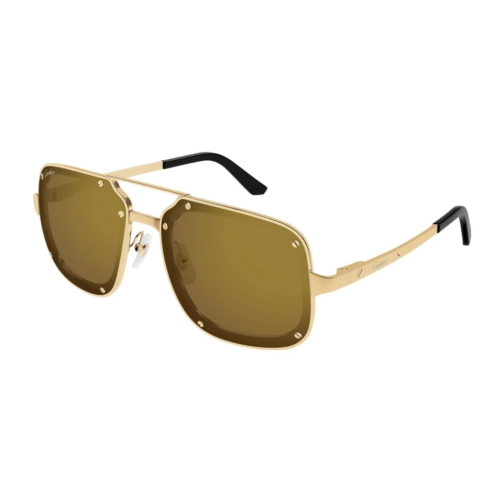 Cartier CT0194S-006 58mm