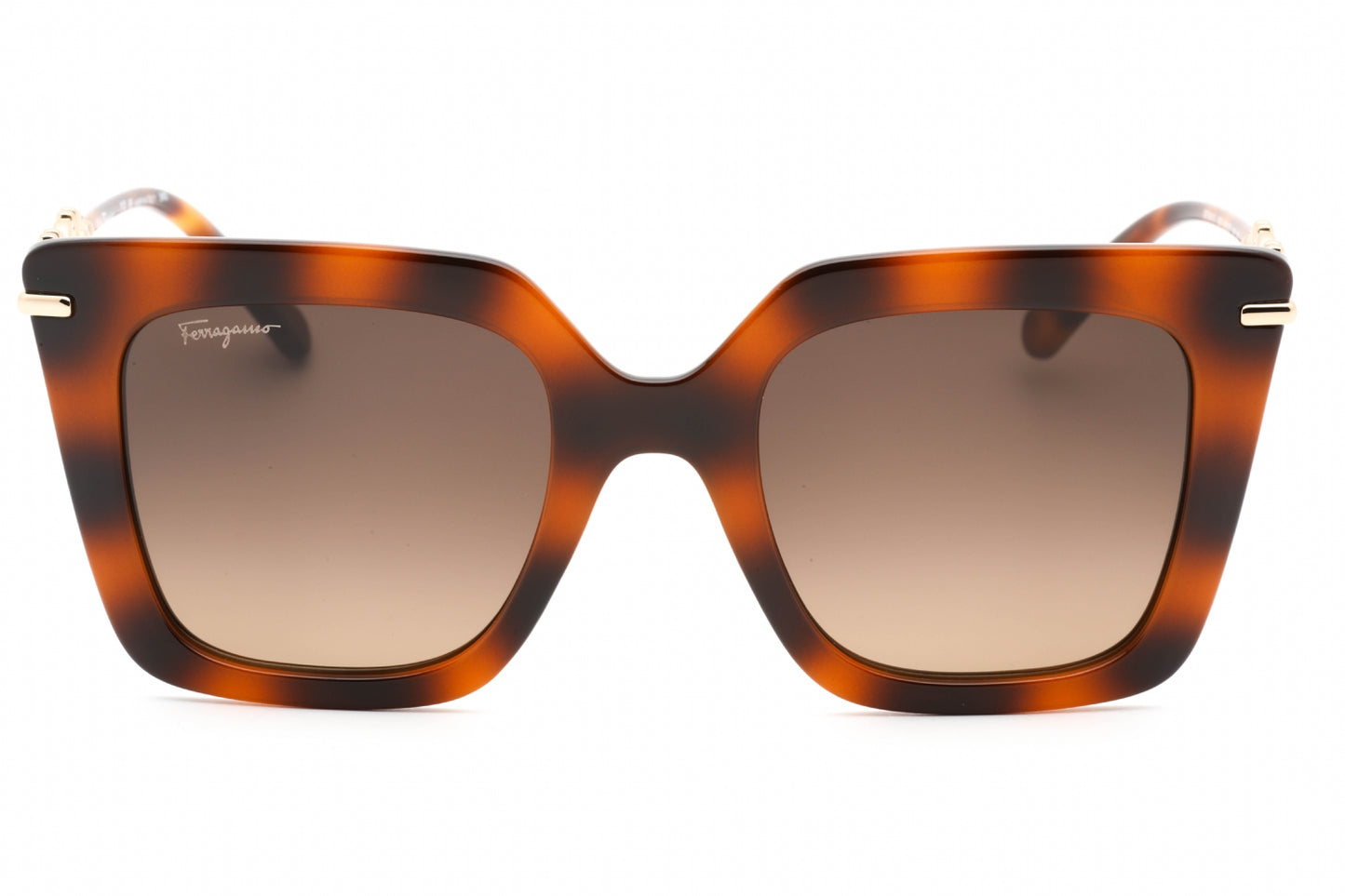 Salvatore Ferragamo SF1041S-238 51mm