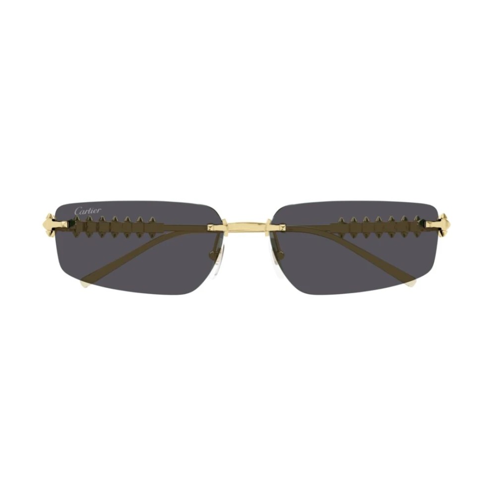 Cartier CT0544S-002 58mm