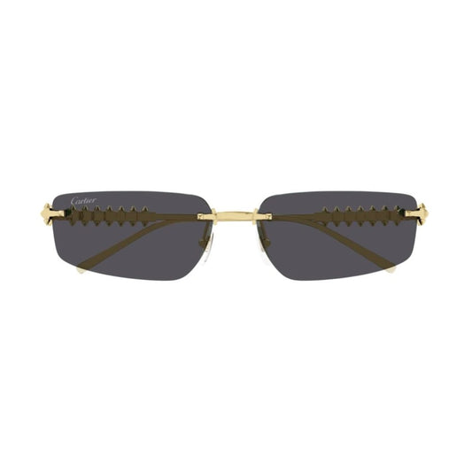 Cartier CT0544S-002 58mm