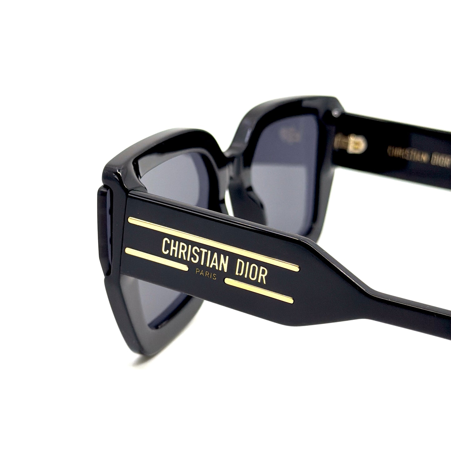 CHRISTIAN DIOR Sunglasses DiorSignature S14I 10A0